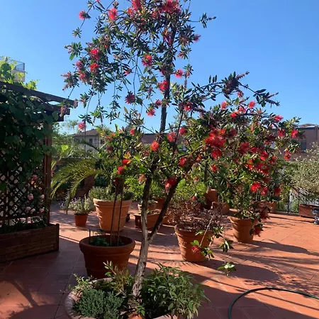 Appartamento La Terrazza Da Ernestina