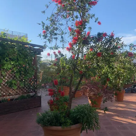 La Terrazza Da Ernestina Lägenhet